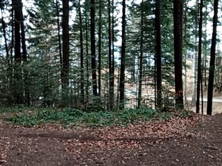 XHelenaX99 Porn Show