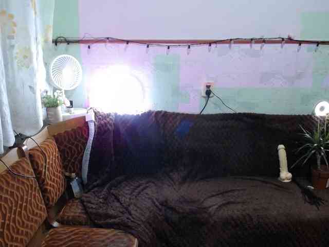 live sex cam porn XHelenaX99