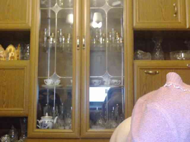 Larrisa3 webcam