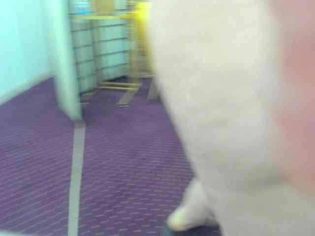 AishaRouhi webcam