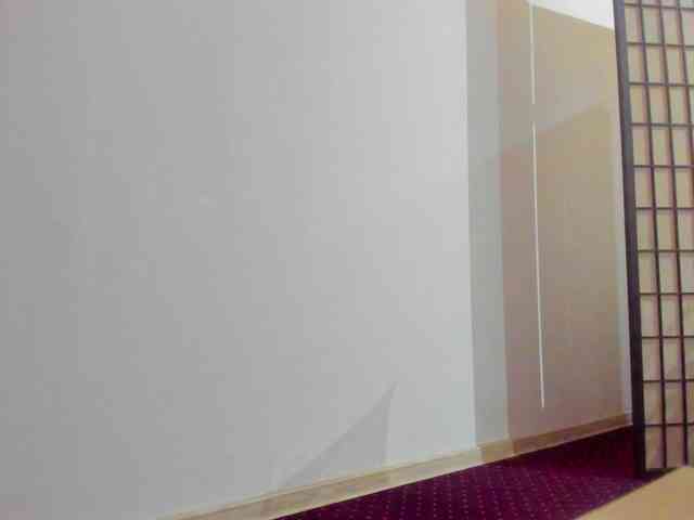 AishaRouhi webcam