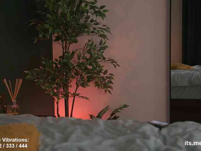 alyonaqueen webcam