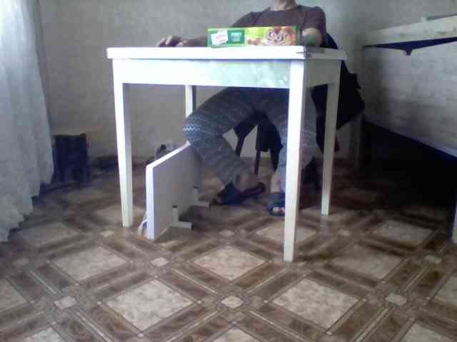 Ni-Ni-P Live Webcam on BongaCams