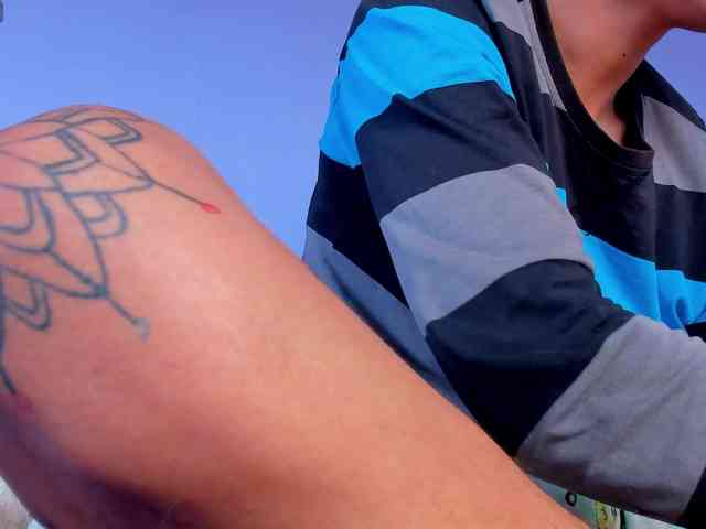 nohax-peter nohax-peter