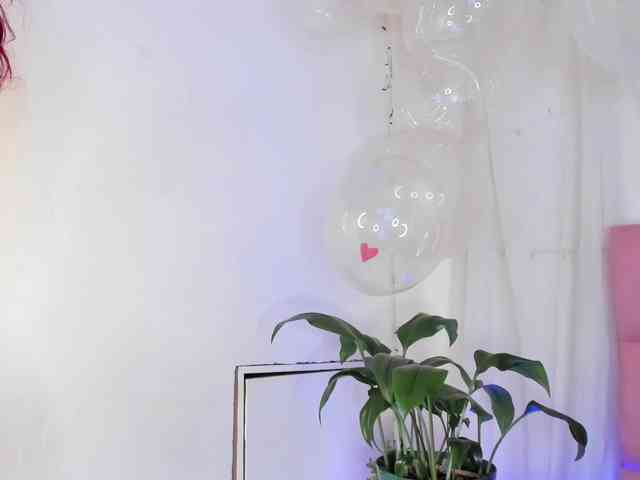 Redpandaa webcam