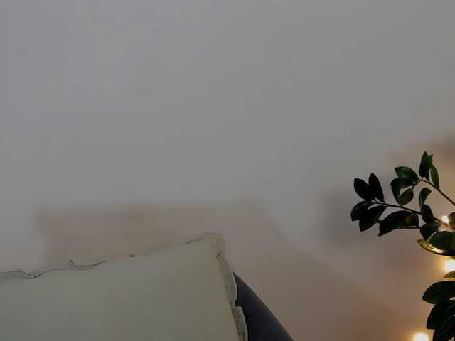 Xenthis's BongaCams show and profile