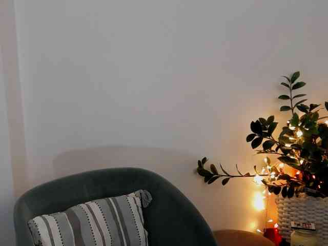 Xenthis webcam