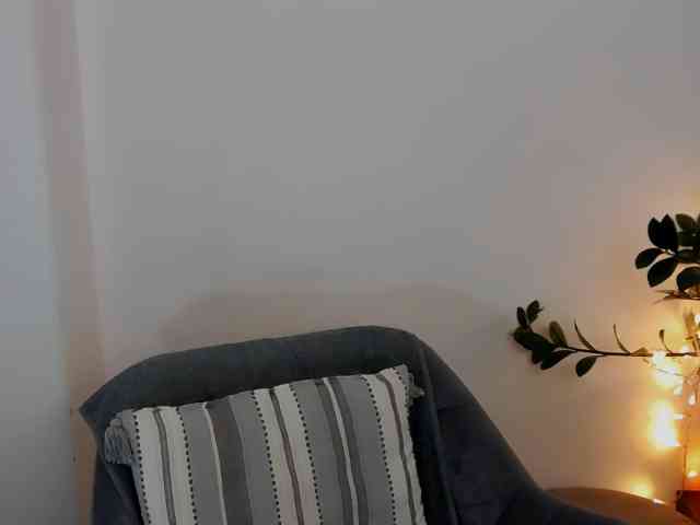 Xenthis webcam