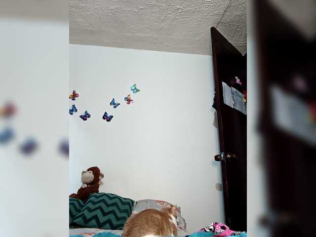 Preview of candybrowm