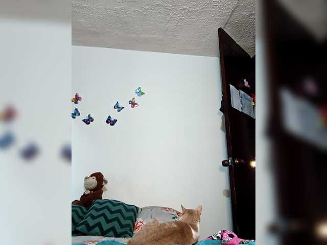 Preview of candybrowm