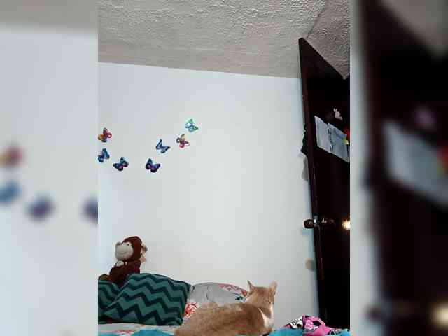 CandyBrowm CandyBrowm