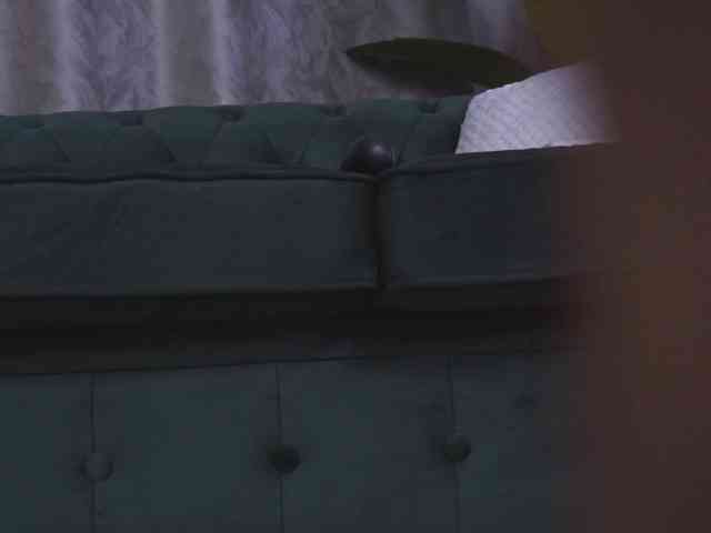 SelineNoir webcam