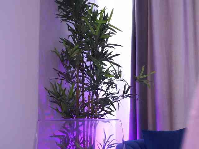 SelineNoir webcam
