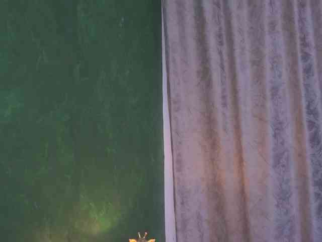 SelineNoir webcam