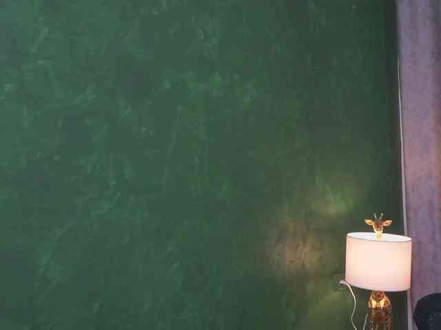 SelineNoir webcam