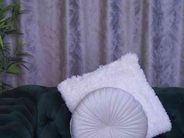 SelineNoir webcam