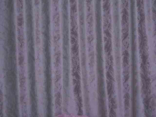 live web cam sex Cattitude