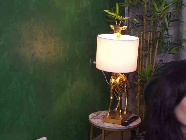 SelineNoir webcam
