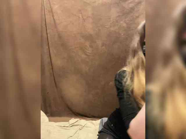 Kaballa666 Live Webcam on BongaCams Kaballa666 Live Webcam on BongaCams