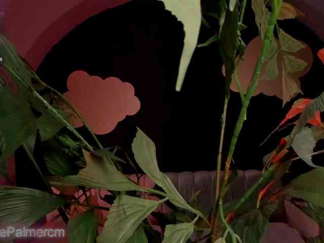 CelestePalmer webcam