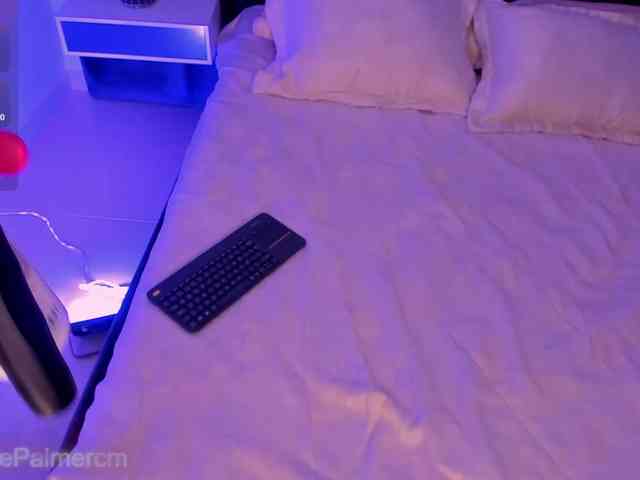 CelestePalmer webcam