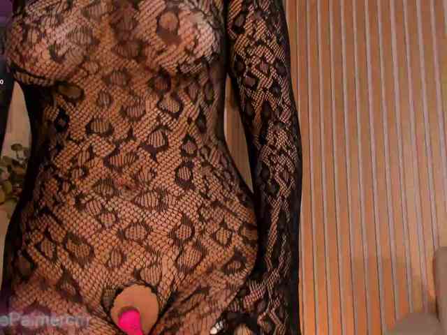 CelestePalmer webcam