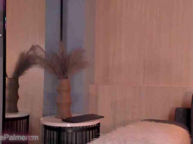 CelestePalmer webcam