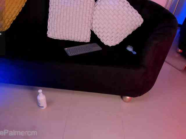 CelestePalmer webcam