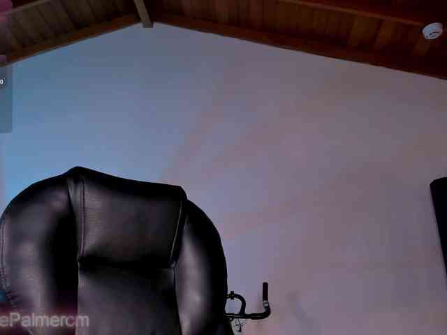 CelestePalmer webcam