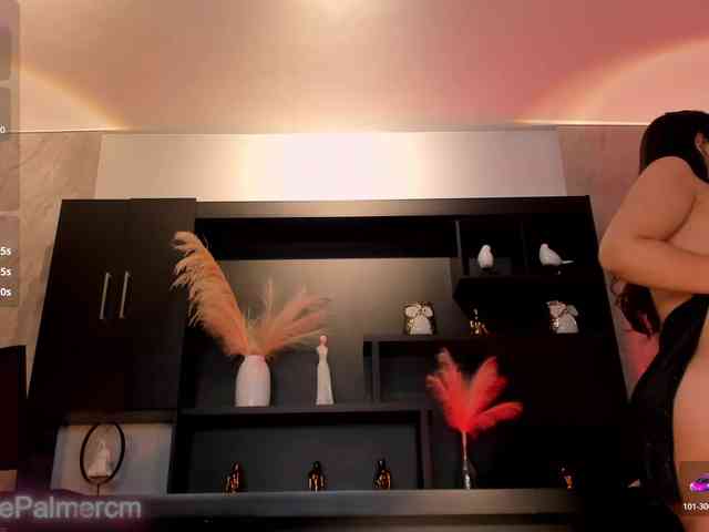 CelestePalmer webcam