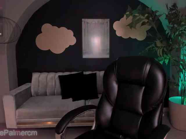 CelestePalmer webcam