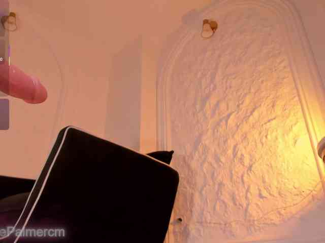 CelestePalmer webcam