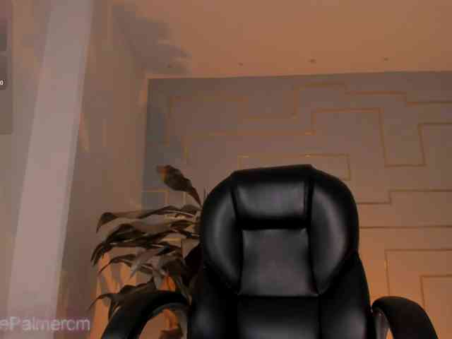 CelestePalmer webcam