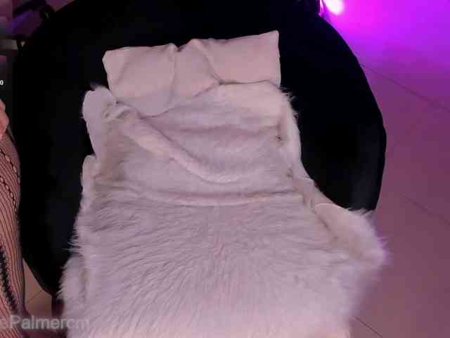 CelestePalmer webcam