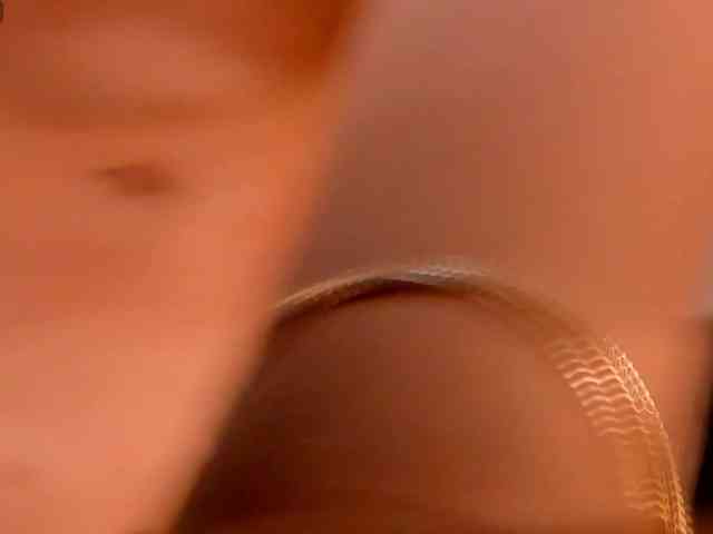 CelestePalmer webcam