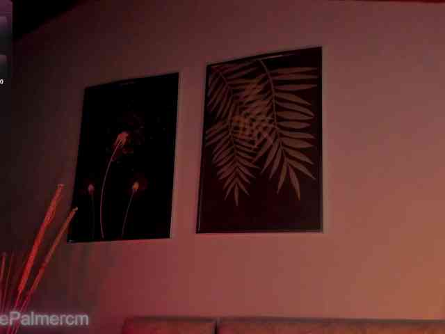 CelestePalmer CelestePalmer