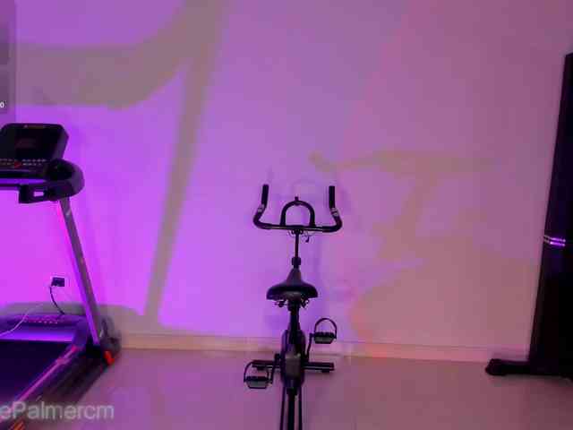 CelestePalmer webcam