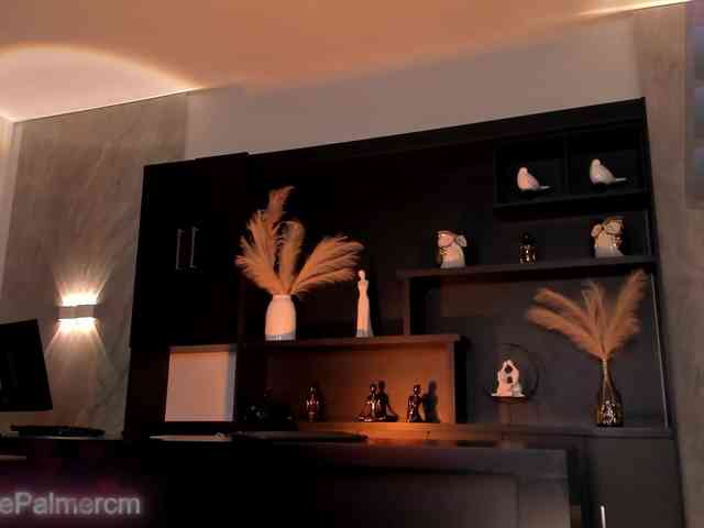 CelestePalmer webcam