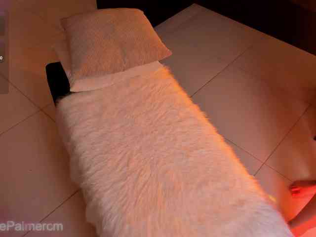 CelestePalmer webcam