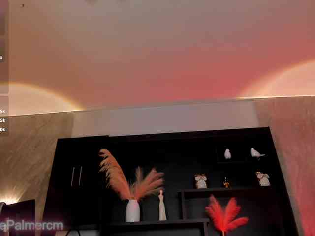 CelestePalmer webcam