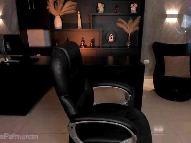 CelestePalmer webcam