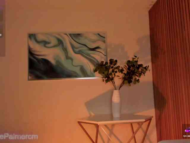 CelestePalmer webcam