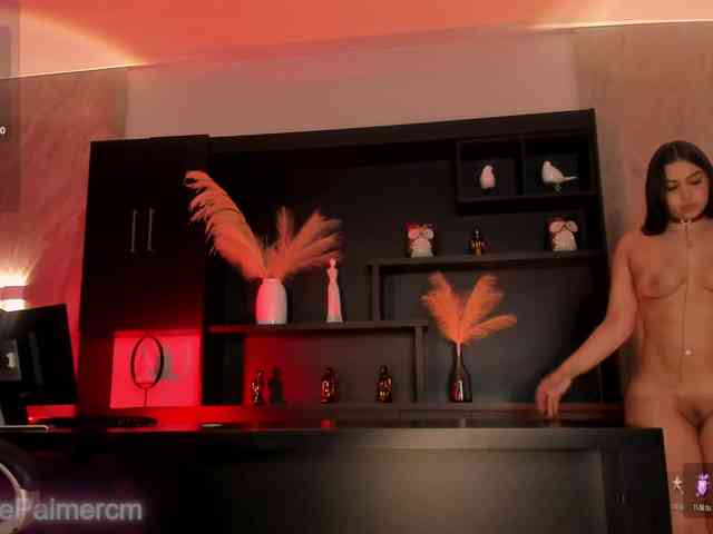 CelestePalmer webcam