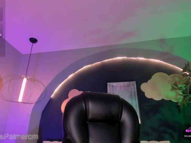 CelestePalmer webcam