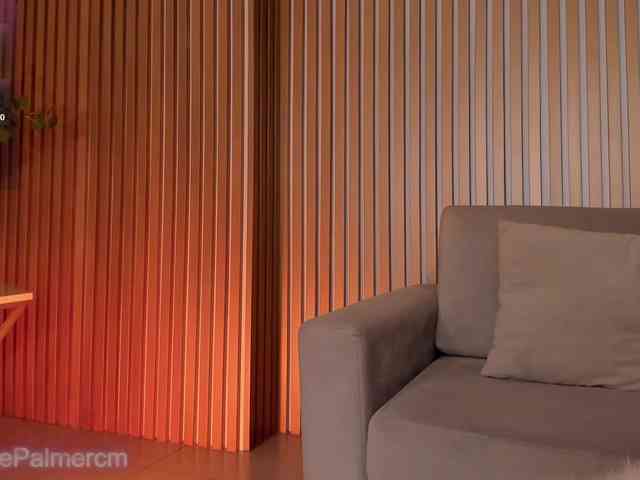 CelestePalmer webcam