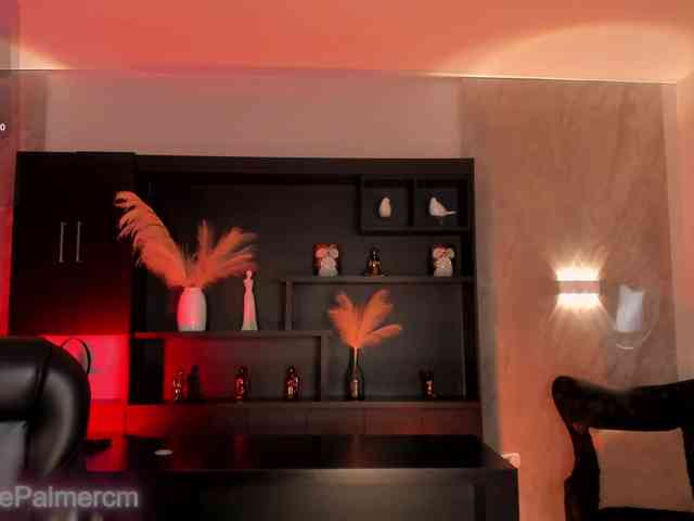 CelestePalmer webcam