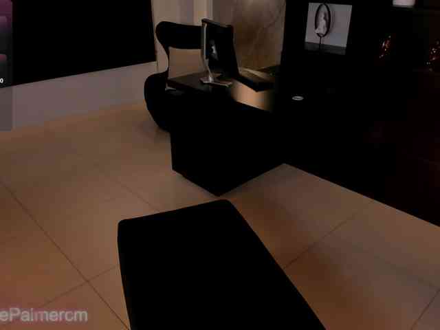 CelestePalmer webcam