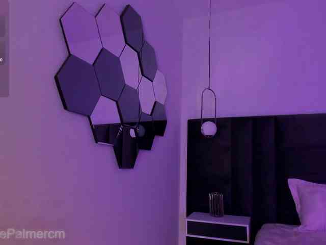 CelestePalmer webcam