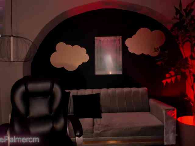 CelestePalmer webcam