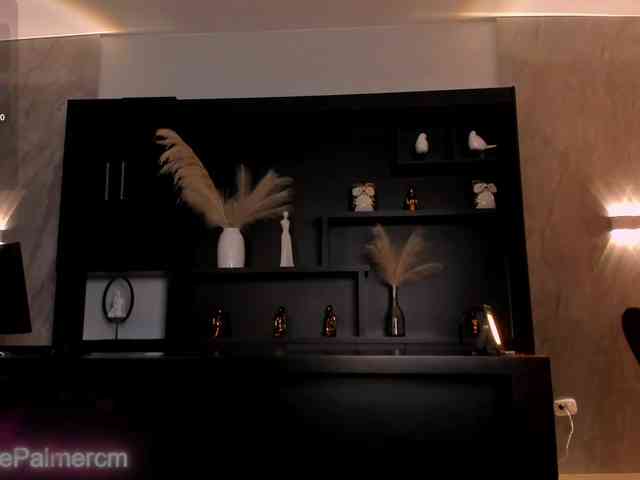 CelestePalmer webcam